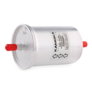 Kraftstoffilter (F300501)